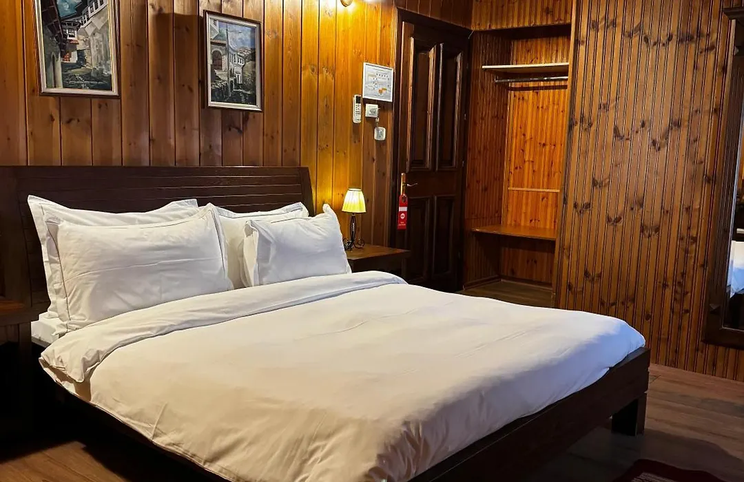 Hotel Mangalemi-1